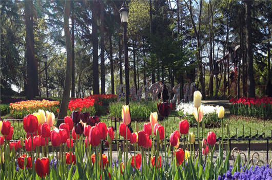 土耳其護照優勢解讀，不可思議的土耳其移民項目！