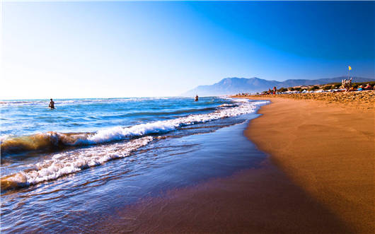 去土耳其旅游,您知道這七種稀有野生動物嗎? 去土耳其旅游,您知道這七種稀有野生動物嗎?