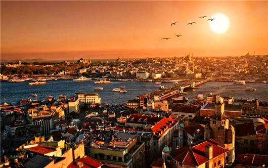 1597569997577357.jpg 5.jpg