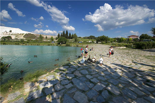 1597994227113905.jpg 12.jpg