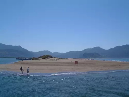 1614072039340080.jpg 1.jpg