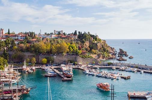 1629881023545729.jpg 1.jpg