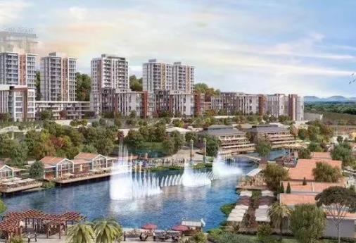 1635321148521028.jpg 1.jpg