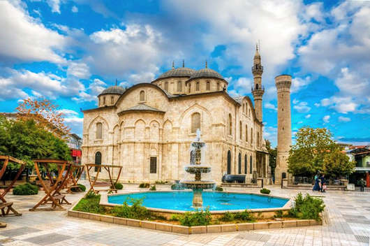 1638350194498738.jpg 1.jpg