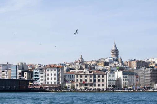 1640853381312841.jpg 1.jpg