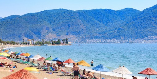 1648278257128023.jpg 1.jpg