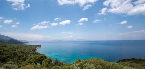 1652170583258276.jpg 1 (1).jpg