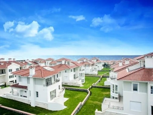 1665560646131298.jpg 1.jpg