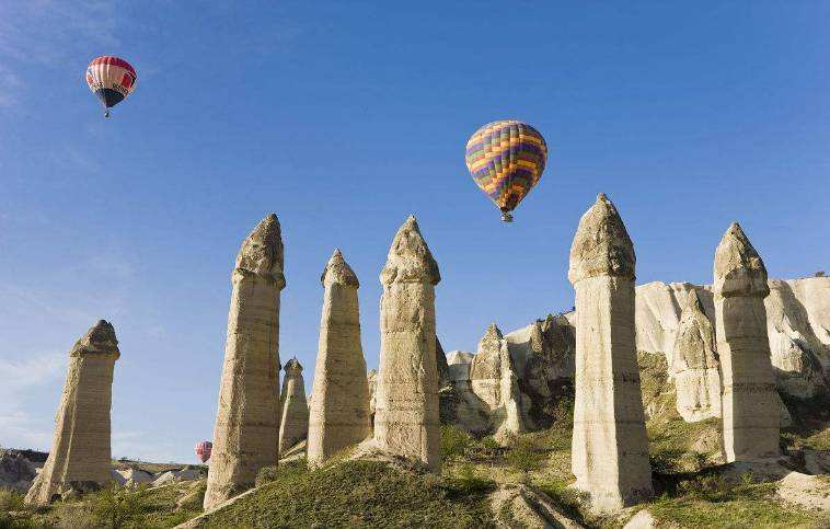 1732849051124925.jpg 11.12.jpg